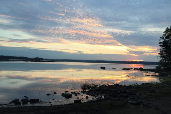 Photo Aug 12, 5 30 26 AM