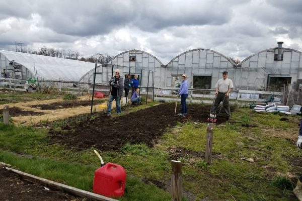 Getting ready to plant