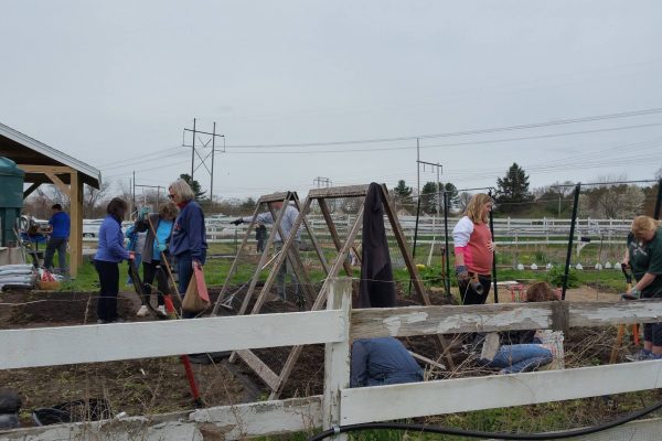 58462900_10161745485875506_3188146471404830720_o