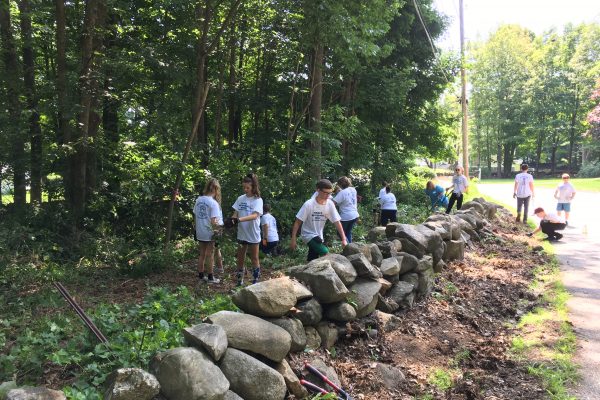 Proctor Rd. Beautification