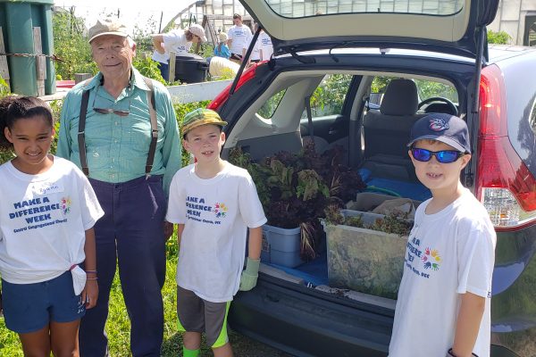 The harvest is loaded for delivery