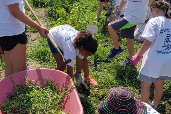 Whole lot of weeding going on!