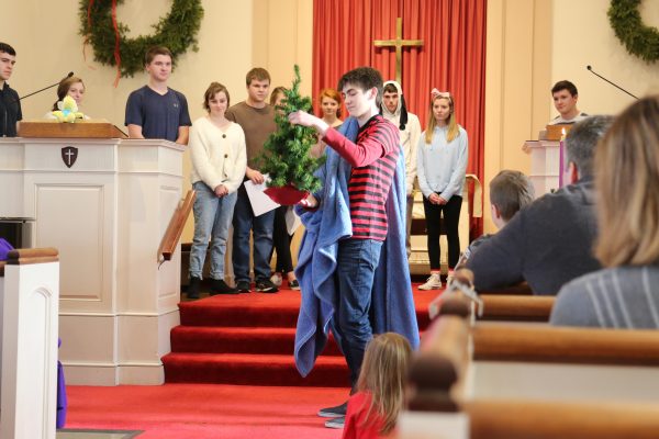 A Charlie Brown Christmas Tree