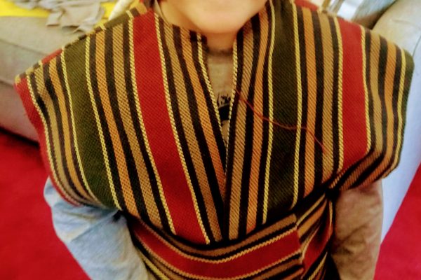 It’s fun to be a Shepherd!