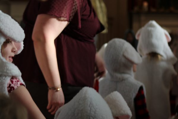 It’s like herding sheep around here!