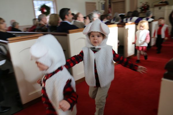 Some sheep apparently got loose!