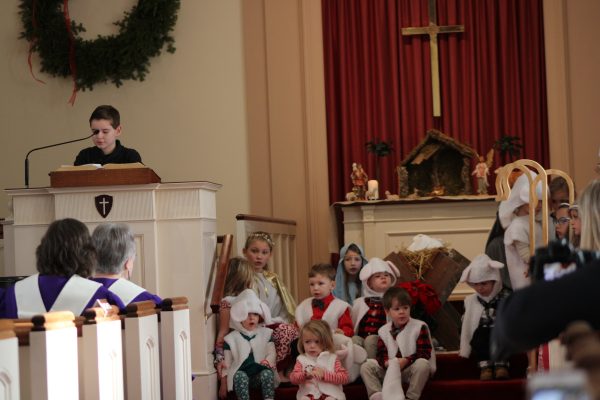 Who’s a good sheep